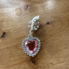 Oorbel, som rapporterats till iLost