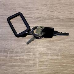 Nøkkel, som rapportert av EBS Tramplein ved bruk av iLost