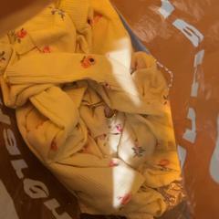 İLost kullanarak Van der Valk Hotel Haarlem tarafından bildirildiği gibi Battaniye