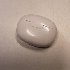 Oortjeshouder, ako bolo nahlásené Qbuzz ZHN pomocou iLost