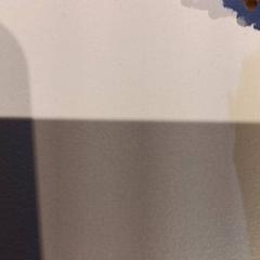 Peluche, come riportato da De Efteling utilizzando iLost