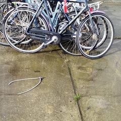 Gizonezkoen bizikleta gazelle, gisa salatu by Stadswerk072 iLost erabiliz