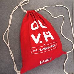 Turnzak, zoals gemeld door Regio West-Vlaanderen met iLost