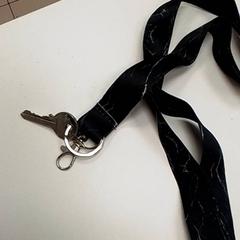 Chaveiro de clés, segundo informou ilévia usando iLost