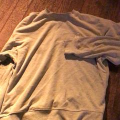 Maglione Grijs, come riportato da De Heeren van Aemstel utilizzando iLost