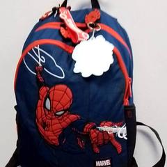 Motxilla, segons ha informat Hermes Eindhoven mitjançant iLost