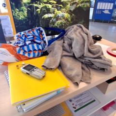 Borsa, come riportato da IKEA Villiers-sur-Marne utilizzando iLost