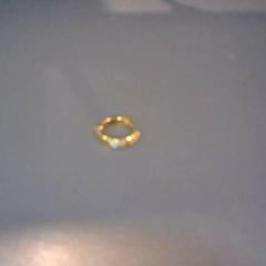 İLost kullanarak SnowWorld Landgraaf tarafından bildirildiği gibi Küpe