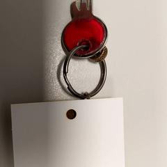 Clé, a été signalé par Centraal magazijn utilisant iLost