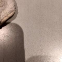 Knuffel がiLostで De Efteling によって報告されました