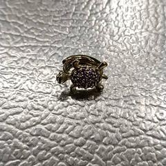 Earring Schildpad paars, as reported by IKEA Utrecht using iLost