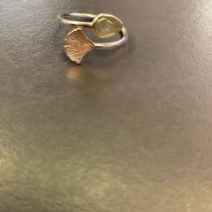 指輪 Zilver がiLostで Eindhoven Airport によって報告されました