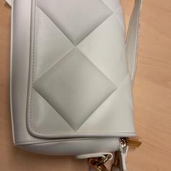 Ladies bag, as reported by RET using iLost