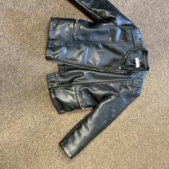 Jacket, as reported by Burgers' Zoo using iLost