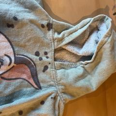 Poncho, zoals gemeld door Familie Resort Molenwaard met iLost
