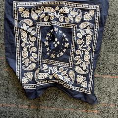 Näsduk, rapporterat av Connexxion Amstelveen med iLost