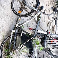 Pánsky bicykel gazelle, ako bolo nahlásené Stadswerk072 pomocou iLost