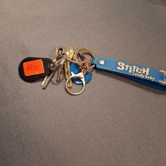 sleutelbos met stitch label an iLost gemeldet