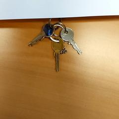 Keys, as reported by Regio Antwerpen - Brussel using iLost