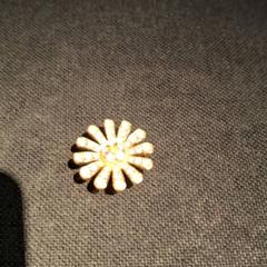 Pinner pins, som rapportert av IKEA Villiers-sur-Marne ved bruk av iLost