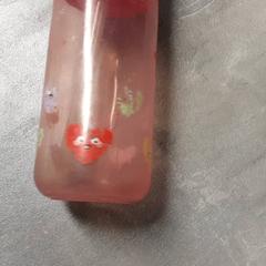 Bouteille, a été signalé par Arriva Friesland / Groningen utilisant iLost