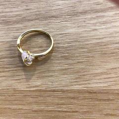 Ringe, som rapportert av Gemeente Alkmaar ved bruk av iLost