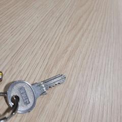 Sleutel met sleutelhanger, jak nahlášeno Gemeente Westervoort pomocí iLost