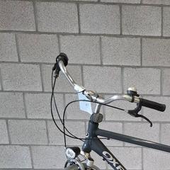 İLost kullanarak Gemeente Stekene tarafından bildirildiği gibi Bisiklet Oxford herenfiets grijs