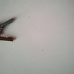 Chiave, come riportato da Twisto utilizzando iLost