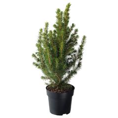 Výrobek IKEA, jak nahlášeno IKEA Badalona pomocí iLost