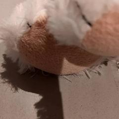 Knuffel, gemeldet von De Efteling über iLost