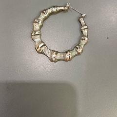 Earring, as reported by Qbuzz GD Groningen HS using iLost