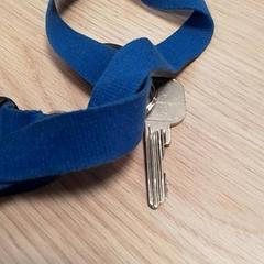 Gakoa, gisa salatu by Qbuzz Fryslân iLost erabiliz