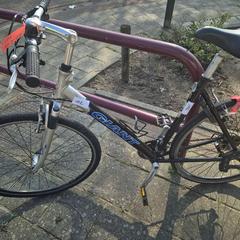 Damenrad, gemeldet von Gemeente Roermond über iLost