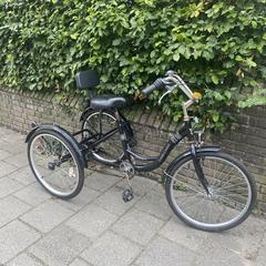 Driewieler voor volwassene, iLost에 보고됨