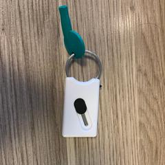 Sleutel Groen, amint azt RAI Amsterdam az iLost segítségével jelentette.