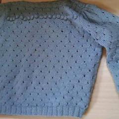 Pull wol, a été signalé par Het Spoorwegmuseum utilisant iLost