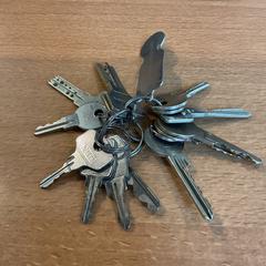 المفاتيح، كما تم الإبلاغ عنه بواسطة Gemeente Amsterdam - Bureau Gevonden Voorwerpen عبر iLost