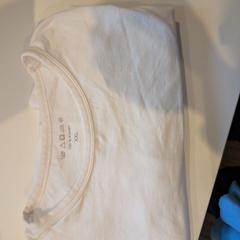 T-shirt, zoals gemeld door Inntel Hotels Utrecht Centre met iLost