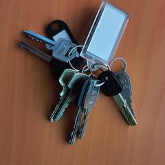 Sleutelbos, zoals gemeld door ParkShuttle Rotterdam met iLost