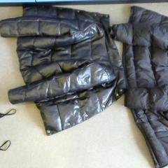 Jaquetes, segons ha informat Walibi Holland mitjançant iLost