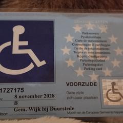 Invalide parkeerkaart, som rapportert til iLost