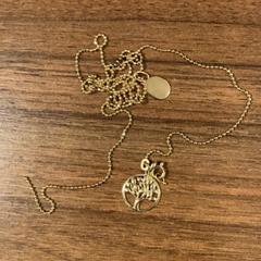 Necklace, as reported by Pathé Zaandam using iLost