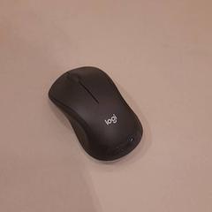 Ratolí Zwart, segons ha informat Van der Valk Hotel Schiphol mitjançant iLost