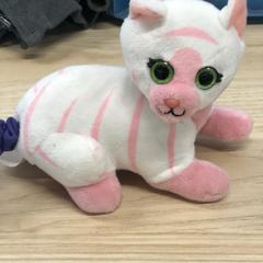 Peluche,lovely pet, zoals gemeld door IKEA Liège met iLost