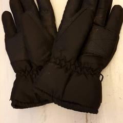 Rukavice Zwart, jak nahlášeno DierenPark Amersfoort pomocí iLost