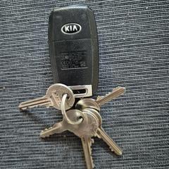 Sleutelbos, amint azt az iLostnak jelentették.