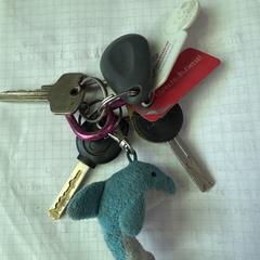 Sleutelbos, segundo informou a iLost