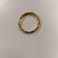 Ring Bladgoud, zoals gemeld door Vrije Universiteit Amsterdam met iLost