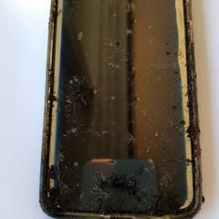 Mobiele telefoon, segons ha informat DierenPark Amersfoort mitjançant iLost